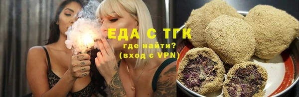 индика Осташков
