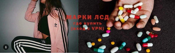 индика Осташков