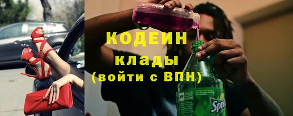 a pvp Пересвет