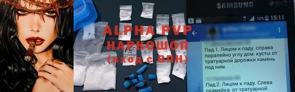a pvp Пересвет