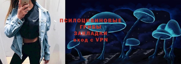 марки lsd Переславль-Залесский