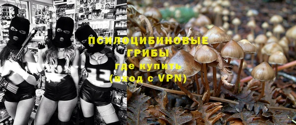 индика Осташков