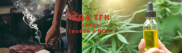 индика Осташков