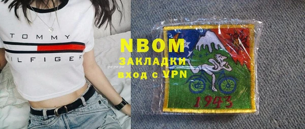 индика Осташков