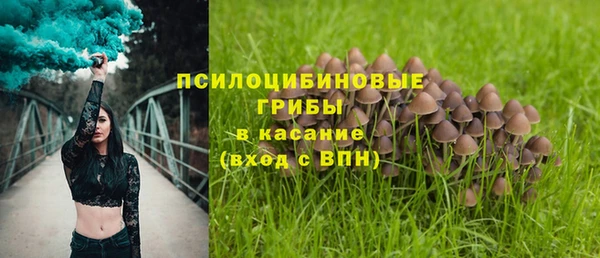 a pvp Пересвет