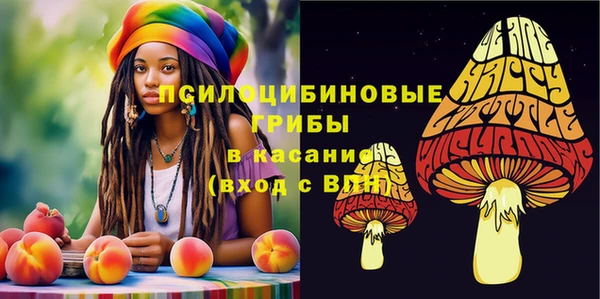 a pvp Пересвет