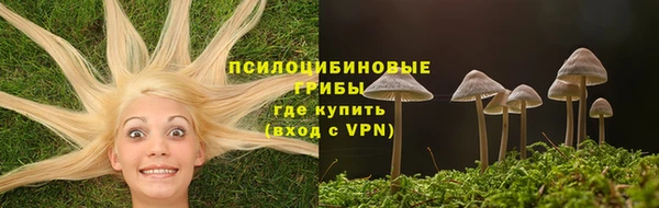 марки lsd Переславль-Залесский