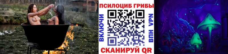 купить наркоту  Поворино  Псилоцибиновые грибы мицелий 